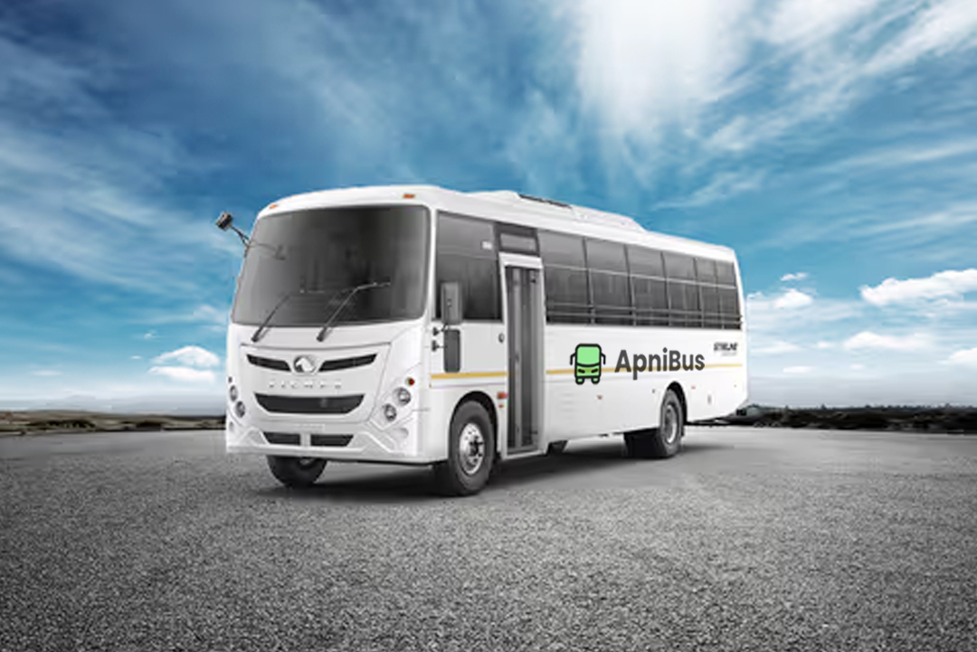 about apnibus services